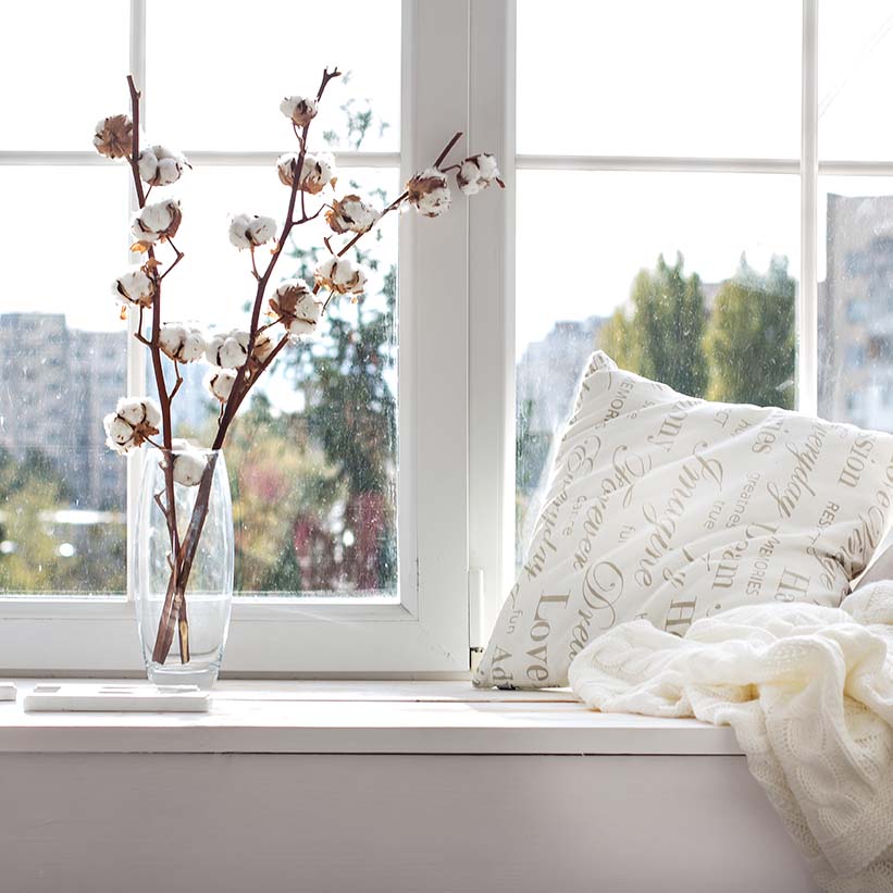 Window sill with flowers for therapy in NY - teletherapy in NY