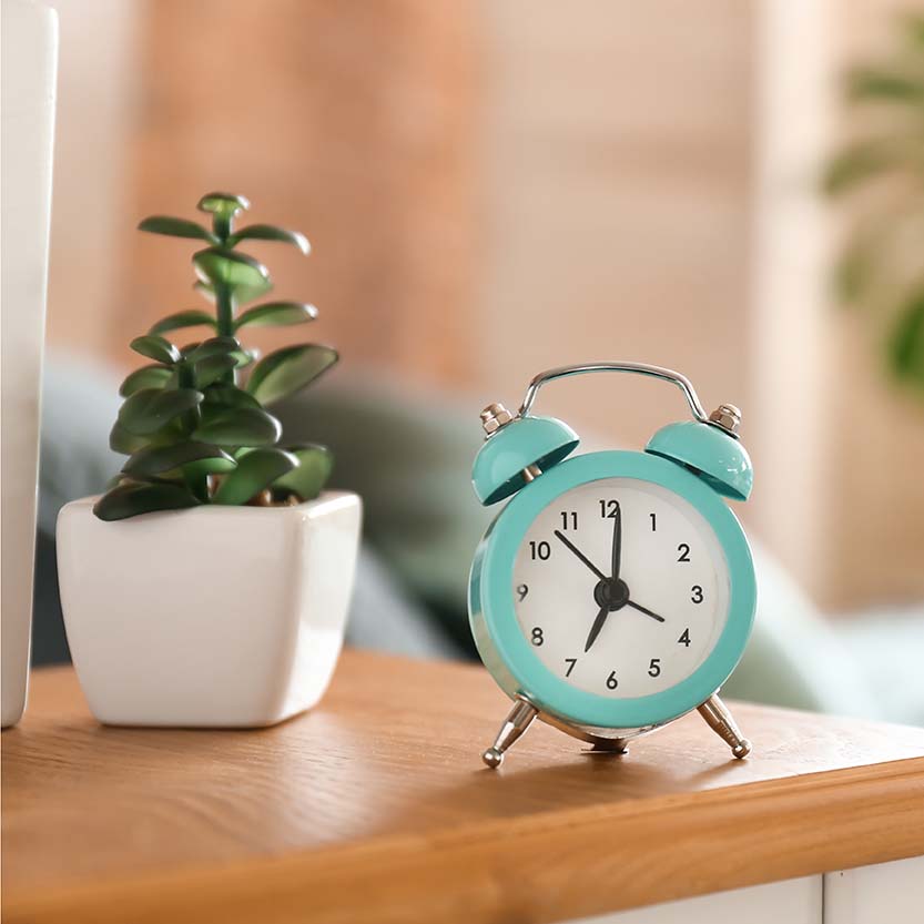 Plant and clock - Frequently Asked Questions about Online Therapy